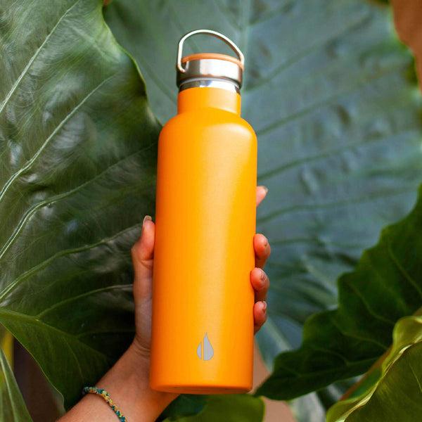 Chill-Its 5152 750 ml Orange Insulated Stainless Steel Water Bottle