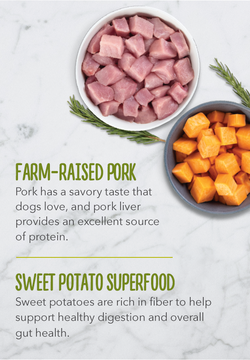 is pork a good protein for dogs