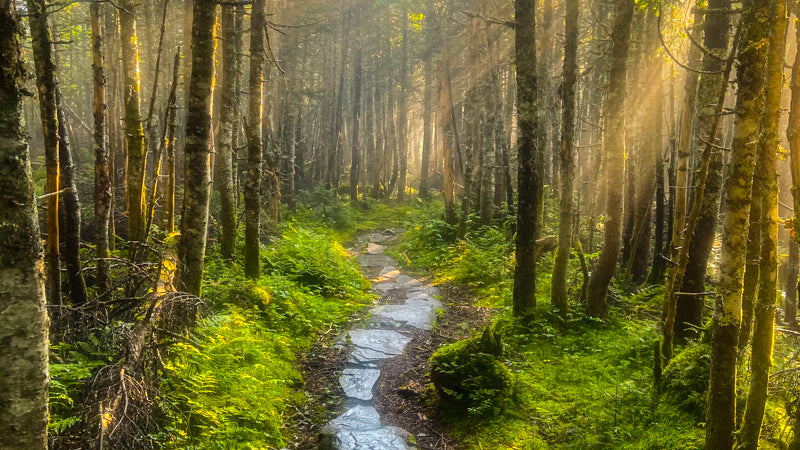 100 Mile Wilderness Maine AT Thru-Hike Photos 