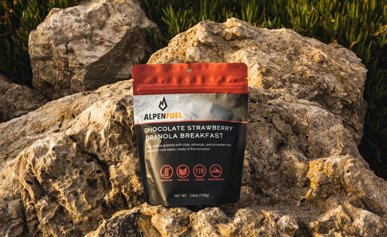 Alpen Fuel Backpacking Breakfasts Instant High Calorie Granola 