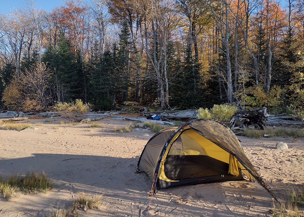 Hillebrand Anjan 3 in a sandy area with trees behind.