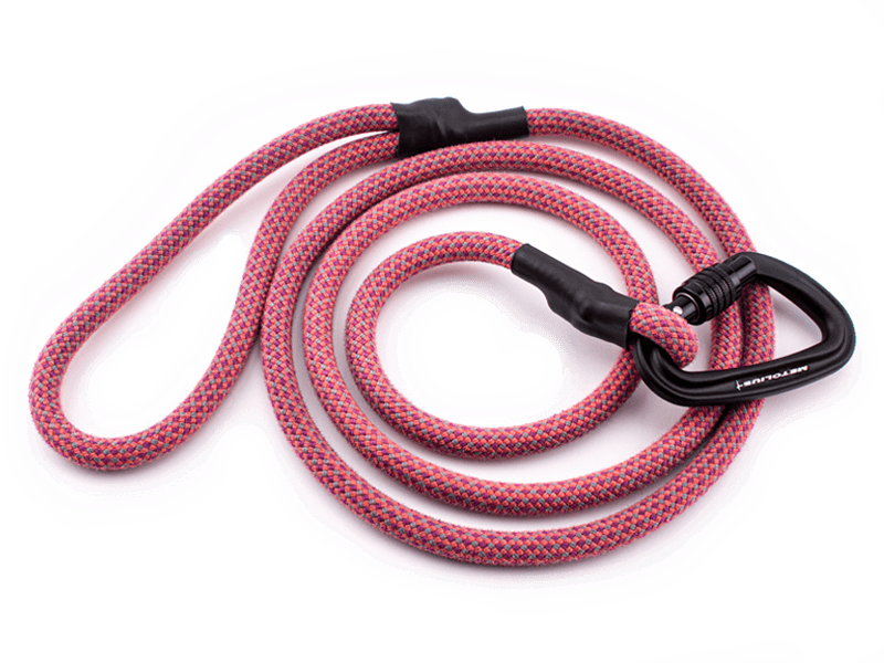Best Outdoor Dog Gear Small and Startup Brands Climbing Rope Leash