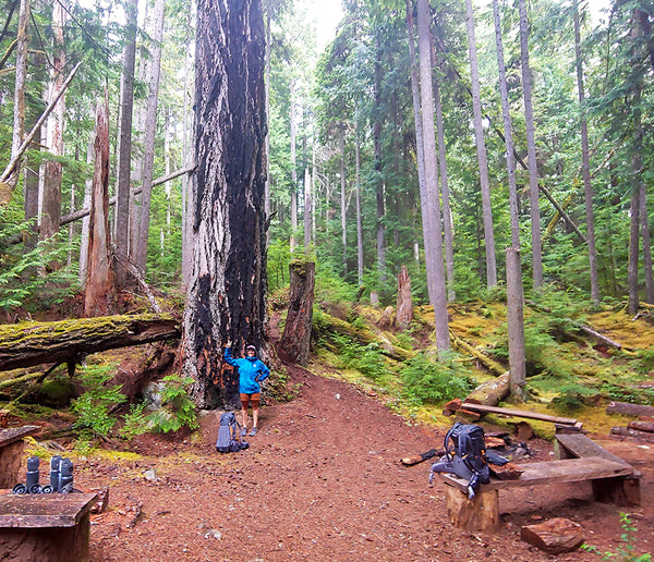 Best Thru-Hikes in Canada Thru-Hiking 