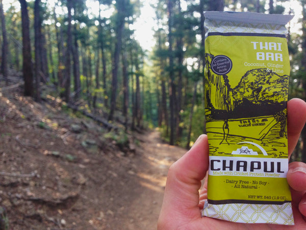 Chapul Cricket Bars Best Backpacking Snacks Garage Grown Gear