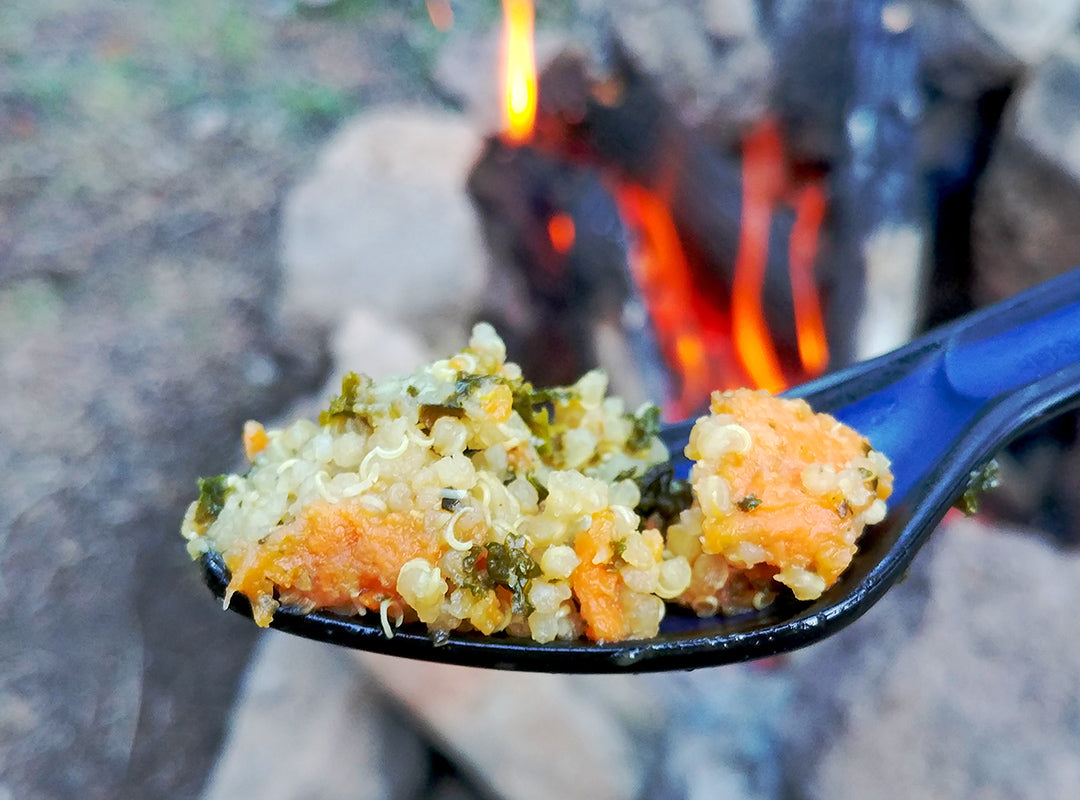 Food for the Sole Dehydrated Best Backpacking Meal Sweet Potato Quinoa Kale Review