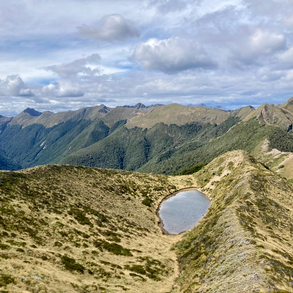 Guide to Thru-Hiking Te Araroa How to Hike the New Zealand Long Trail GGG Garage Grown Gear