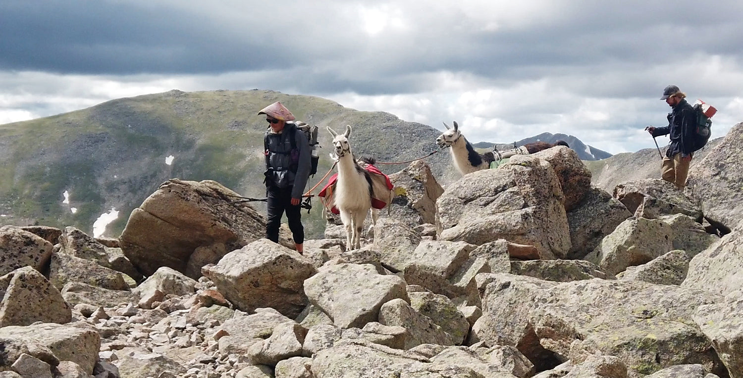 Hiking Backpacking with Llamas How To Tips GGG Garage Grown Gear Llama Packing