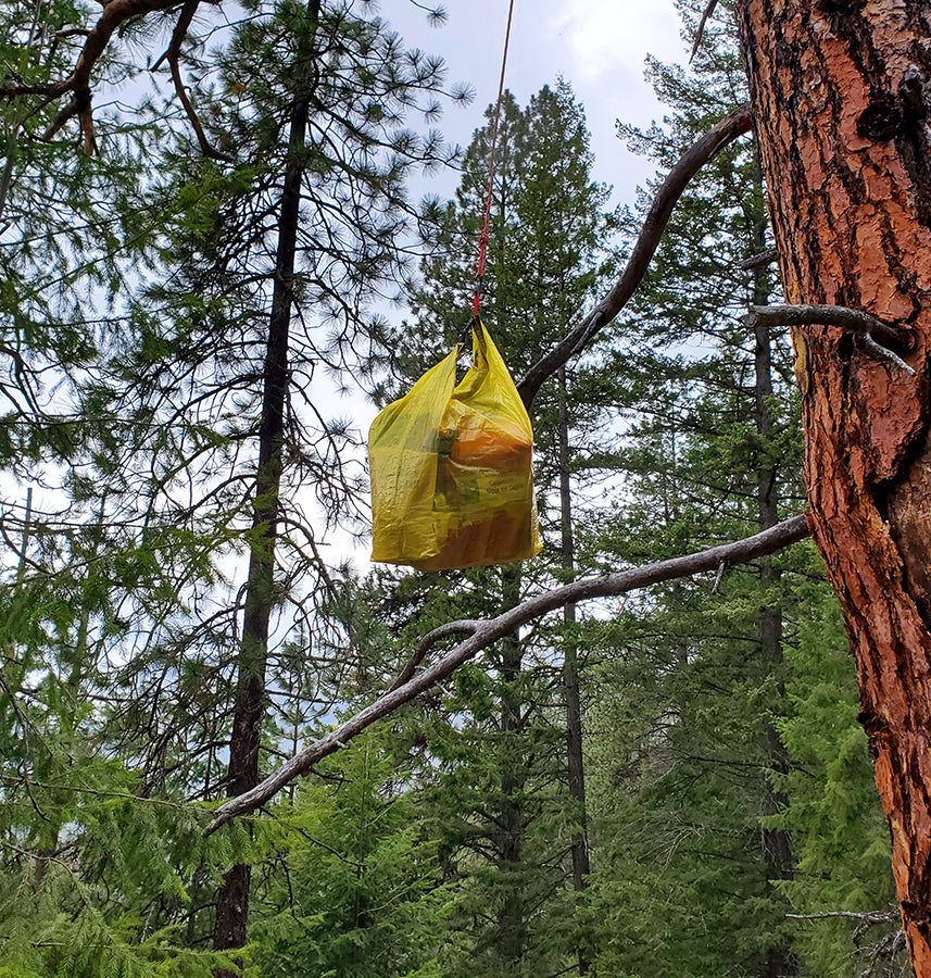 Hilltop Bear Hang Ultralight Food Bag Printed Dyneema DCF Review