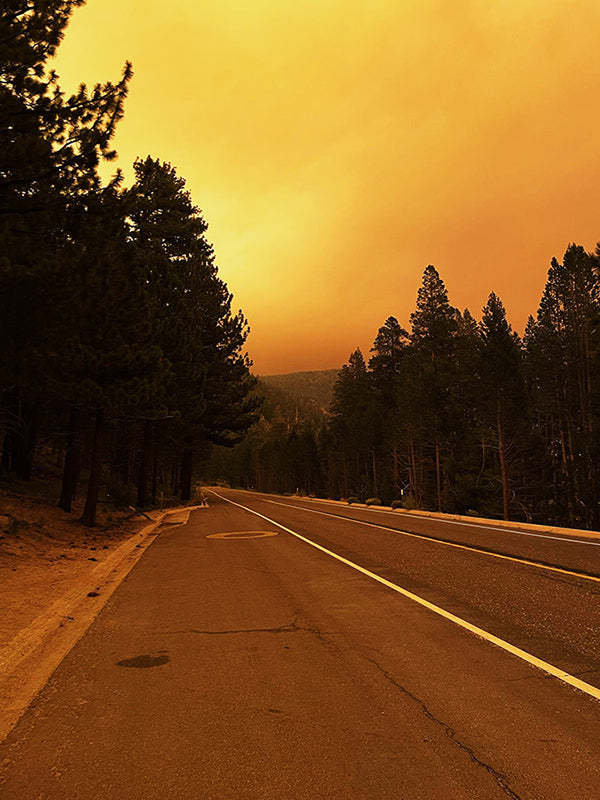 Wildfires Thru-Hiking Tahoe Rim Trail 