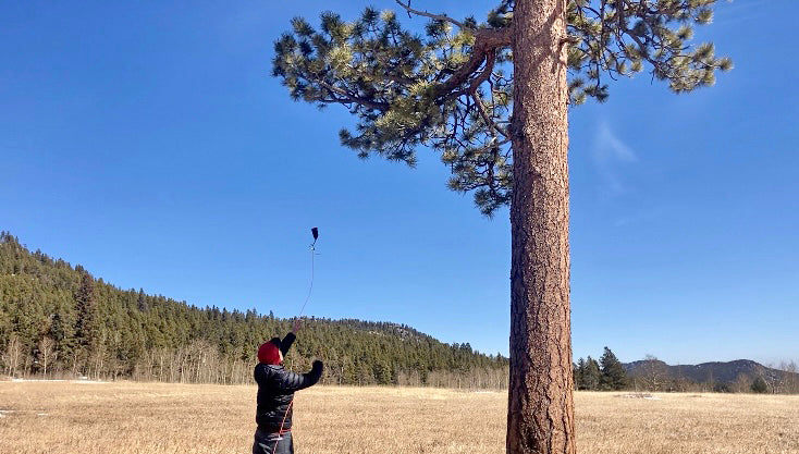 How to Hang a Bear Bag Ultralight Food Bag Backpacking Cloud Gear GGG Garage Grown Gear