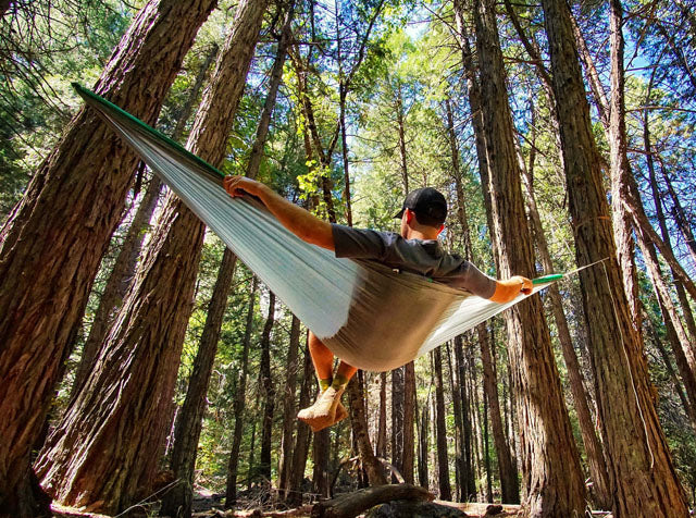 Hummingbird Hammocks