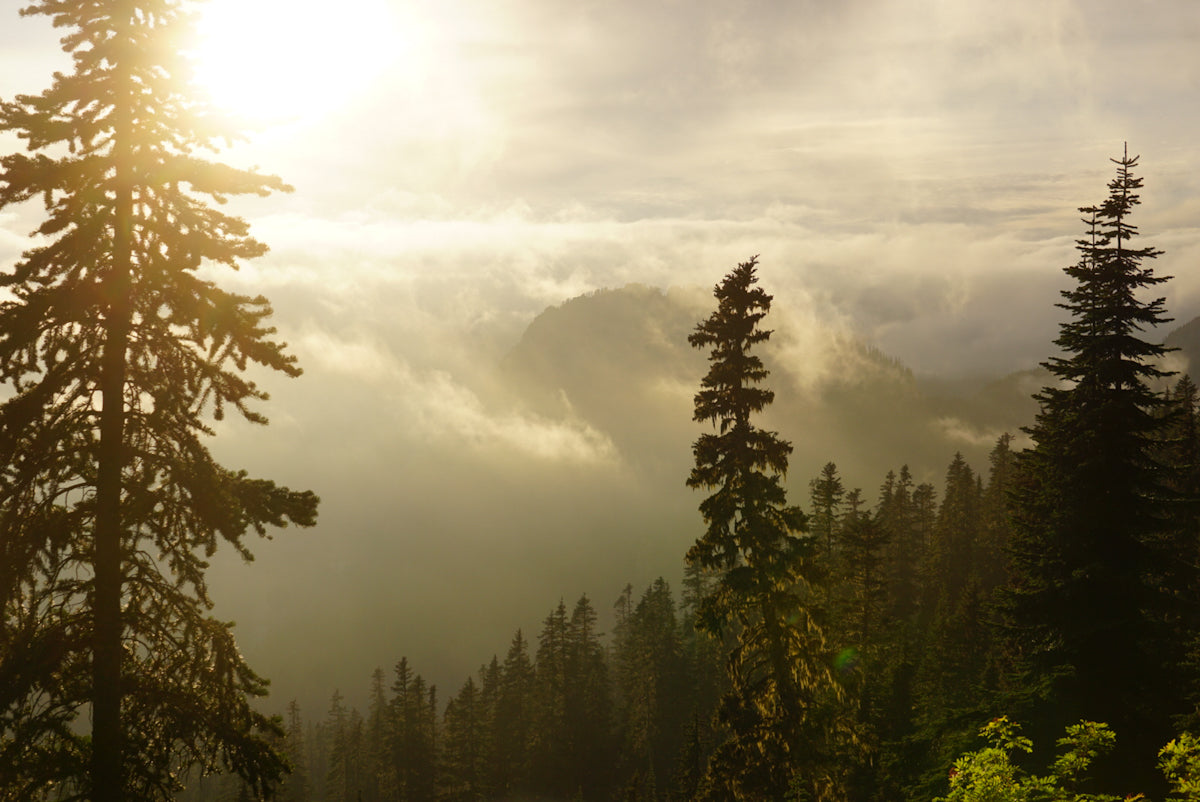 Pacific Crest Trail PCT Photos Jonathon Frankson Thru-Hiking