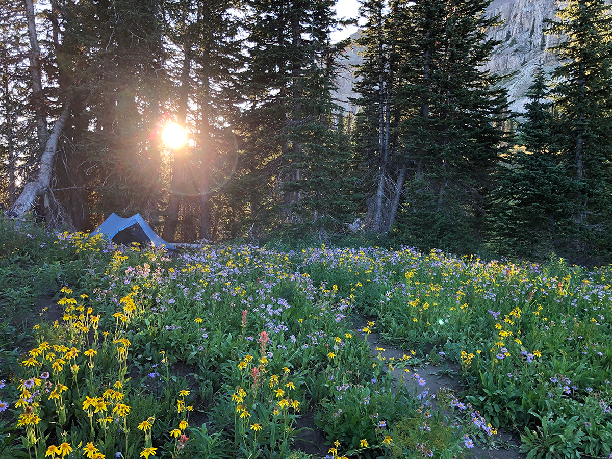 SKT Slowest Known Time Thru-Hiking CDT AT GGG Garage Grown Gear