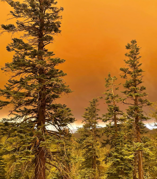 Wildfires thru-hiking tahoe rim trail