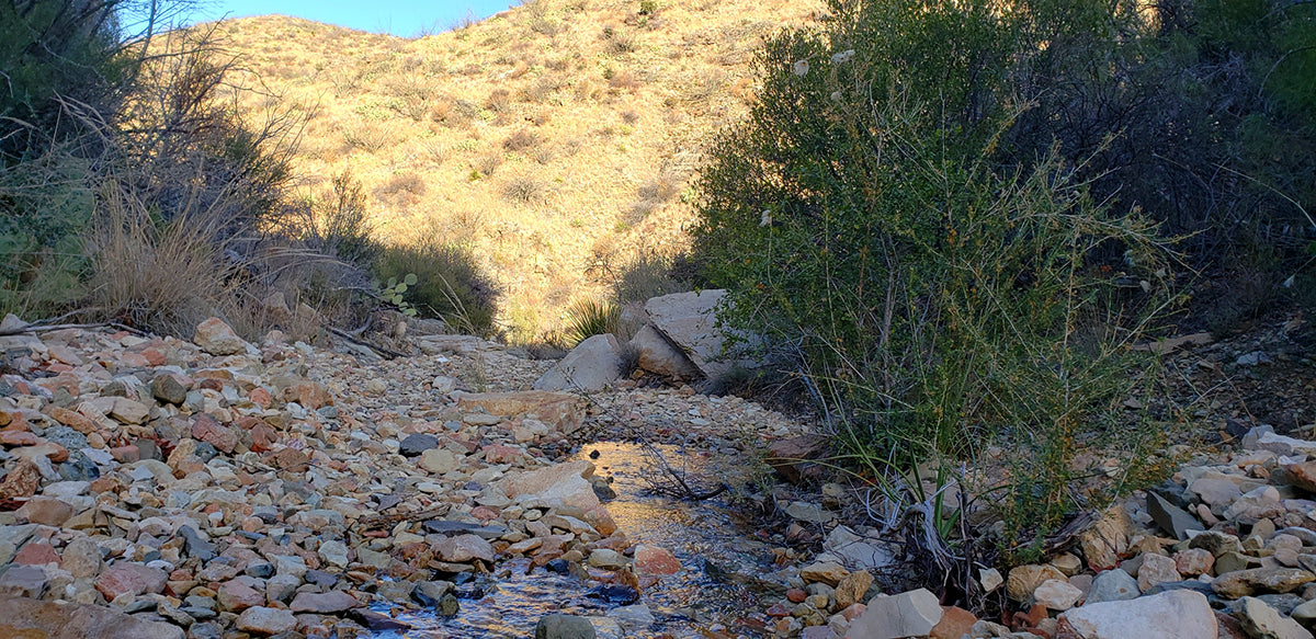 Fresno Creek Big Bend