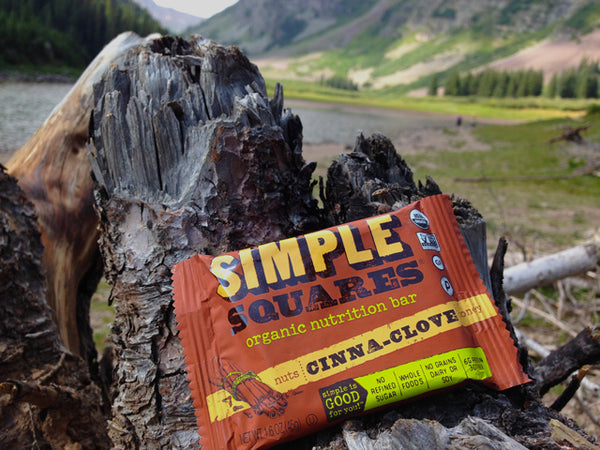 Simple Squares Best Backpacking Snacks Garage Grown Gear