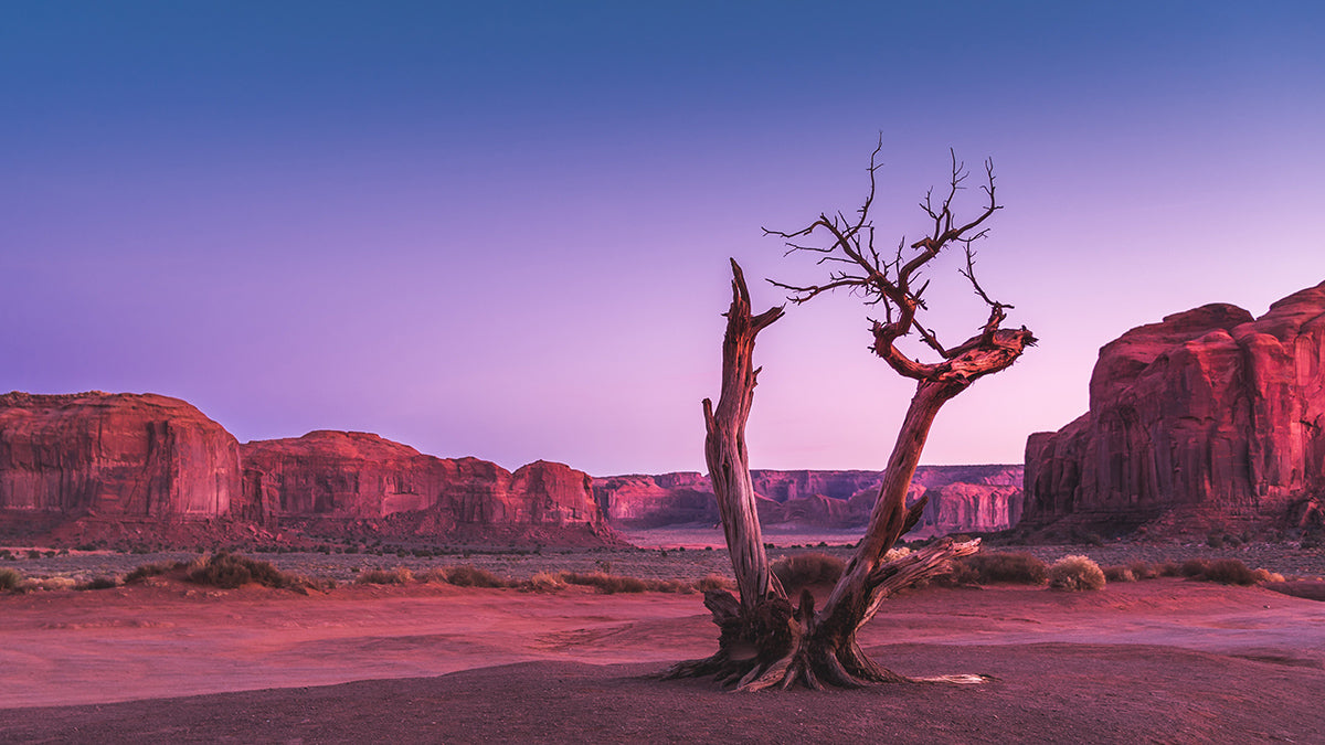 Tips How to Backpack in Desert by Jeff Legend Garmire