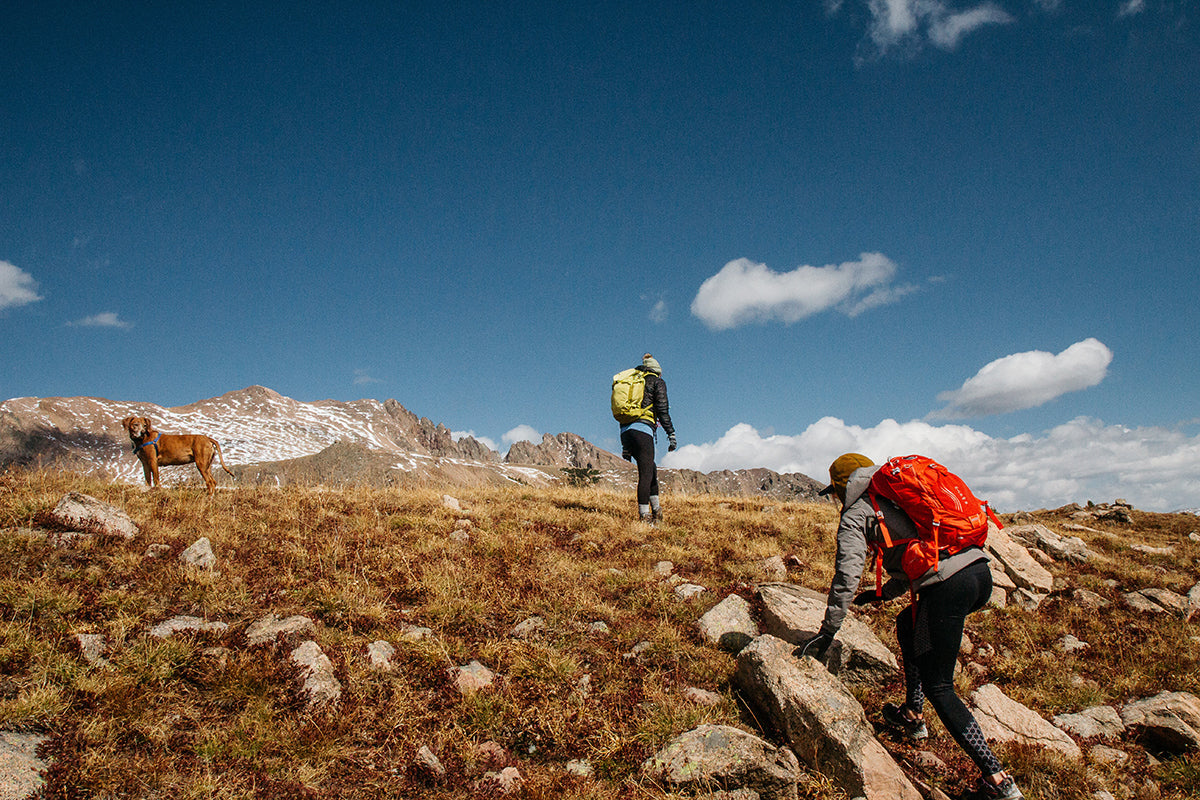 Why Hiking Make You Happy Dopamine Delayed Gratification