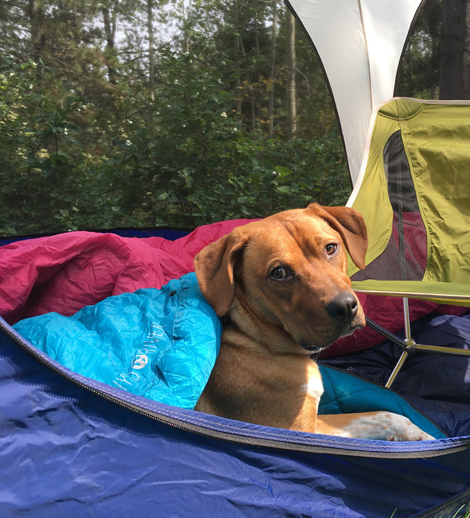 Whyld River DoggyBag Review - High Quality Dog Sleeping Bag - Copyright Garage Grown Gear