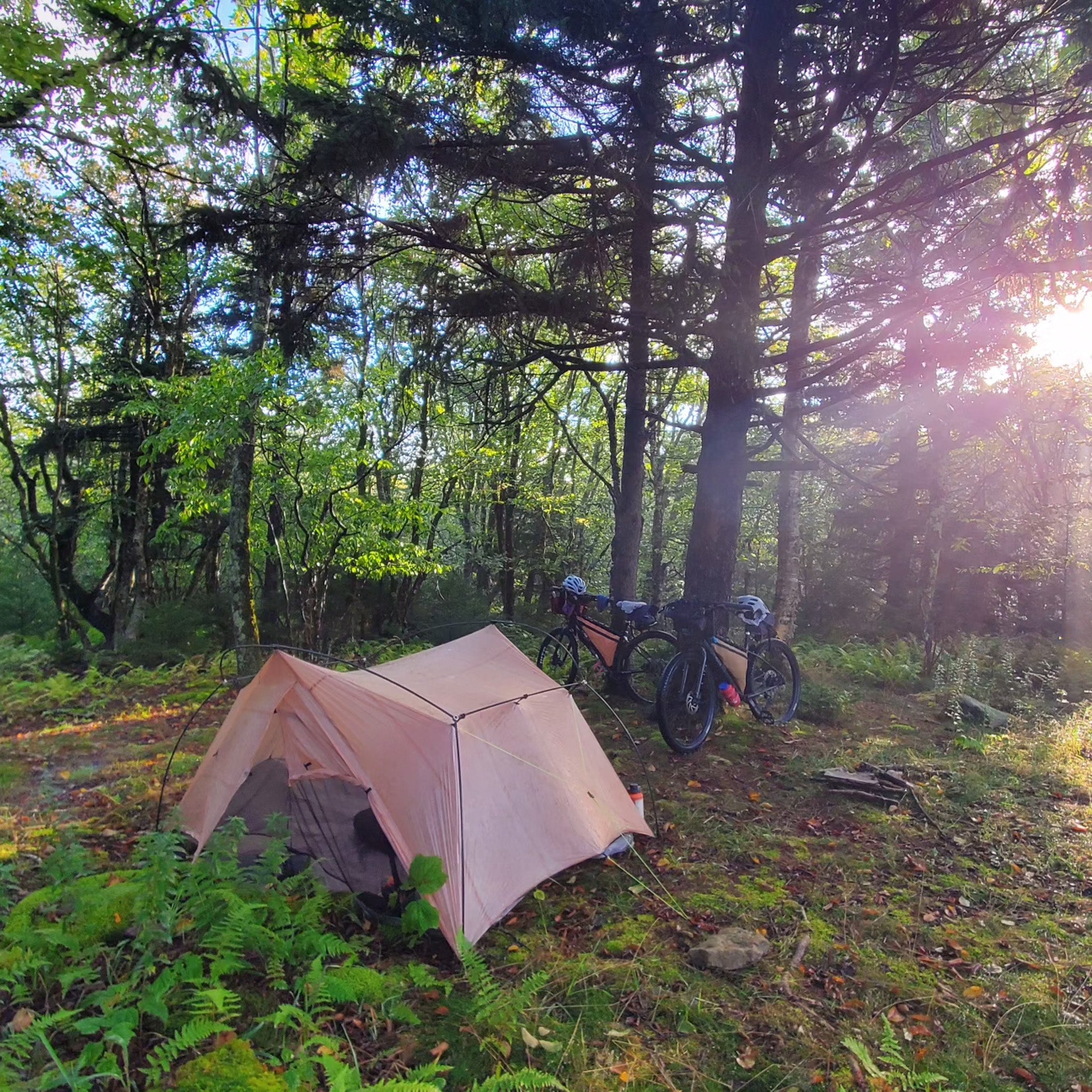 Zpacks Ultralight Shelter Best Lightweight Tent Dyneema DCF Backpacking Bikepacking GGG Garage Grown Gear