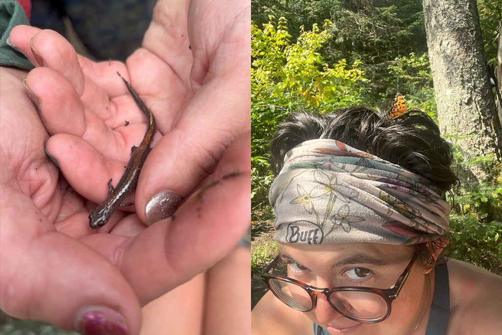 a hand holding a salamander and a butterfly on a hiker's head