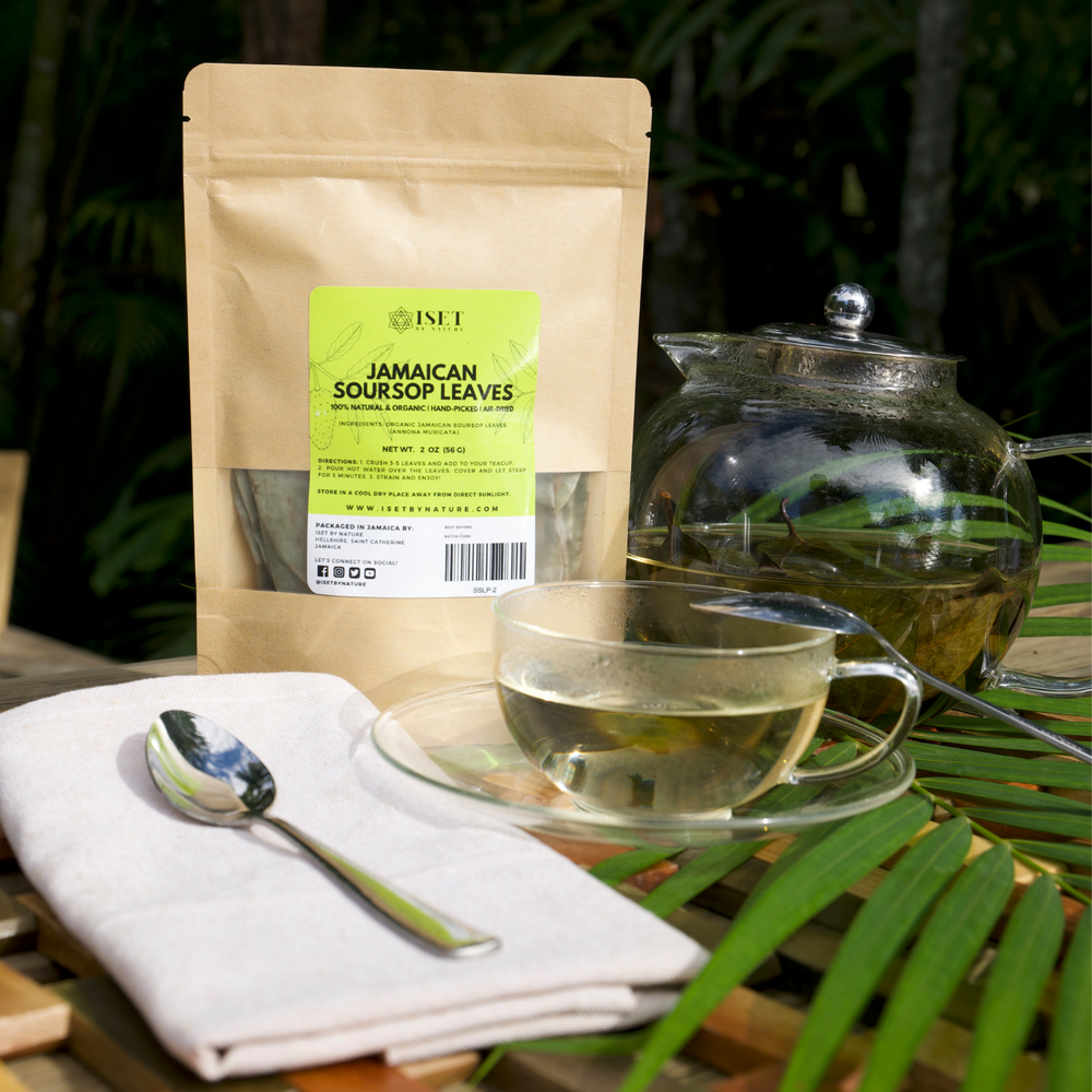 Jamaican Soursop Leaf Tea | Graviola | Guanabana | Annona Muricata | L ...