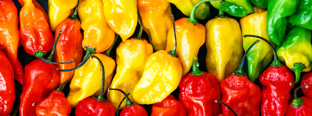 rainbow of fresh chili peppers in red, yellow and green