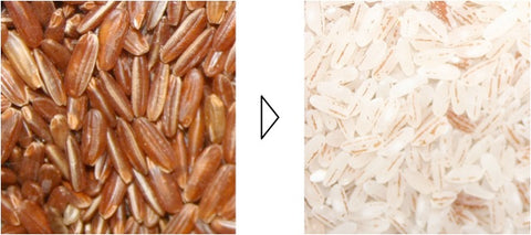 Riz complet (pâtes, riz, graines, céréales et pains)