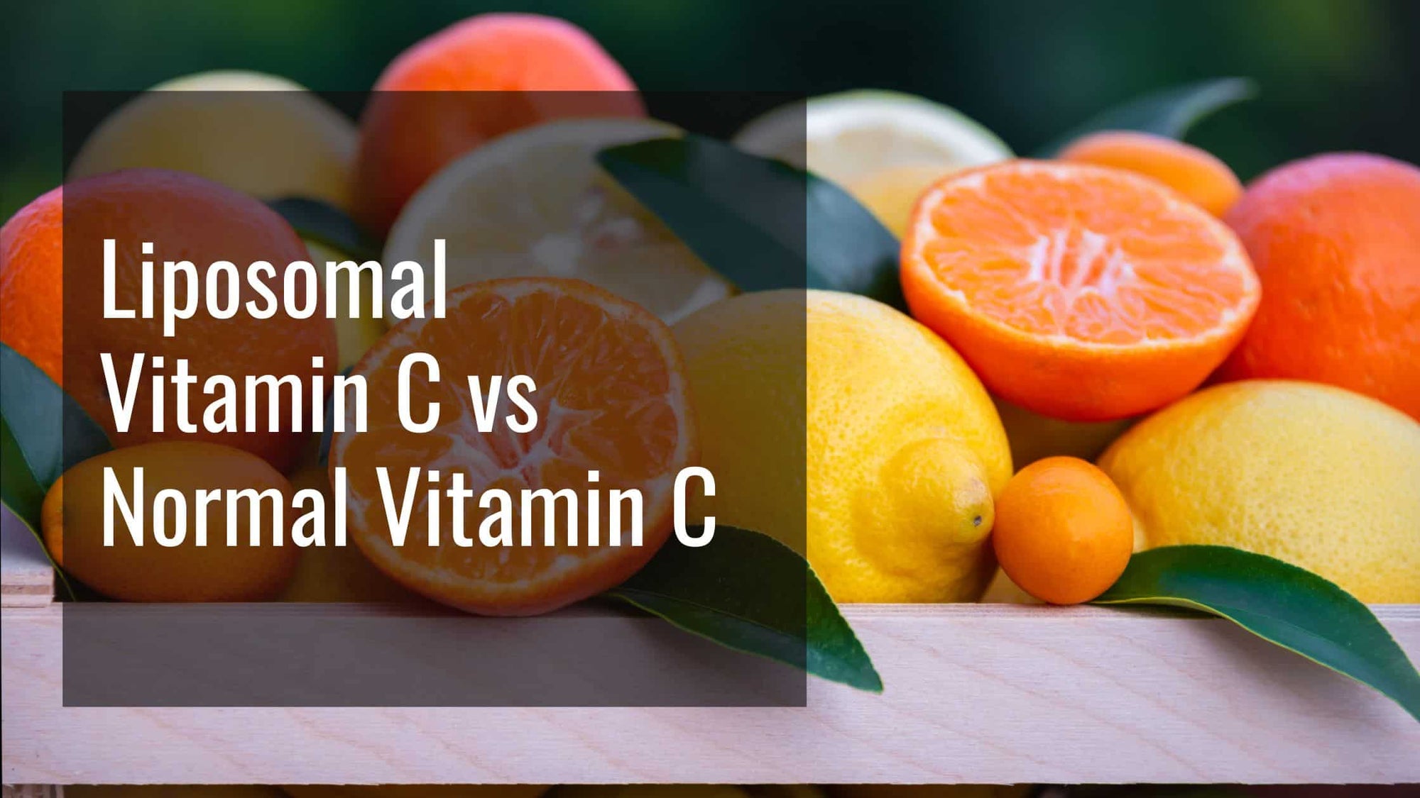 Liposomal Vitamin C vs. Regular Vitamin C BioStack Labs