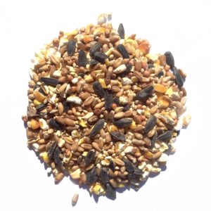 25kg bird seed