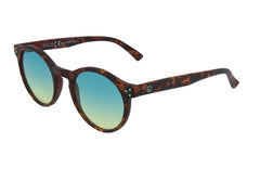 Whale Sunglasses Matt Havana look