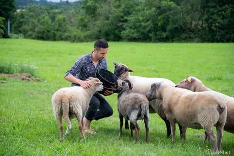 Arsayo animal sanctuary