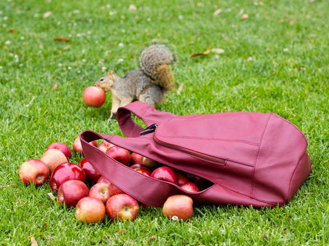 Apple Skin Arsayo bag Squirrel