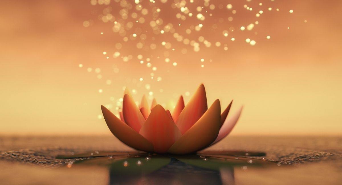 Fleur de Lotus: Tout Sur la Signification et la Symbolique