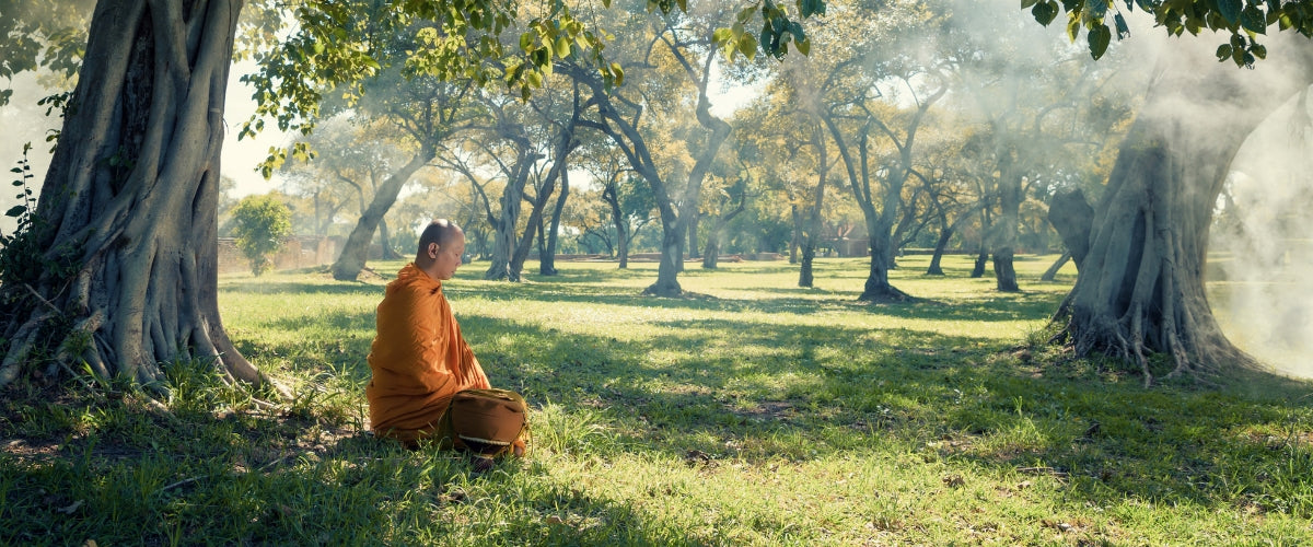Pourquoi pratiquer la méditation selon le bouddhisme ?