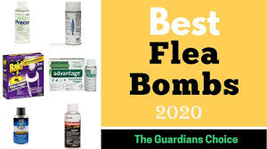 Best Flea Bombs 2020