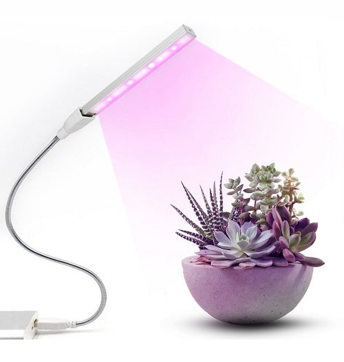 Plant Led – My Home Garden