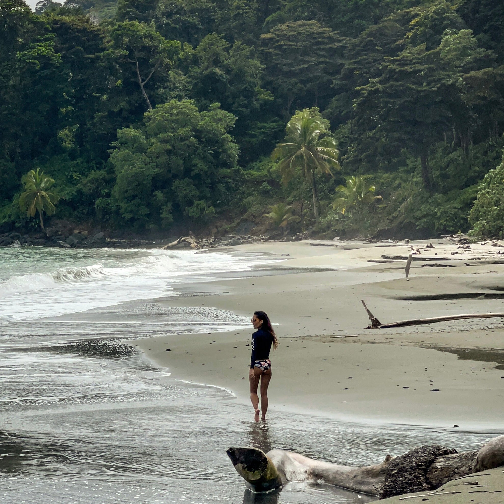 Isla Gorgona Colombia