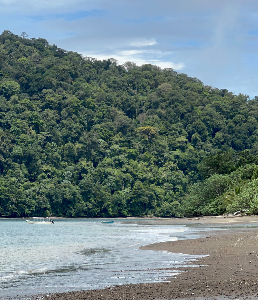 Bahía Solano