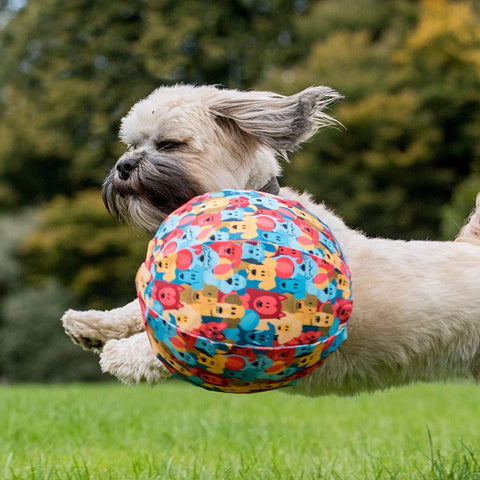 10 Best Puzzle Toys that Actually Help Bored Dogs