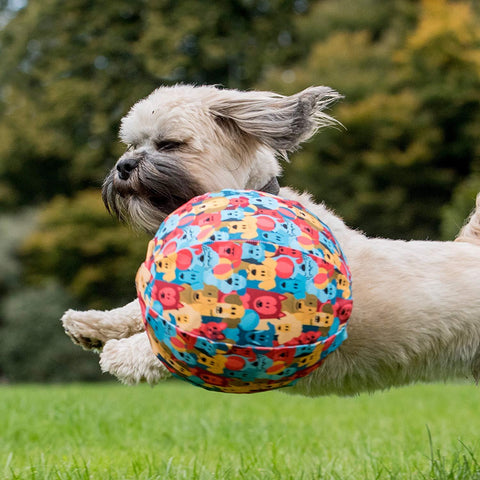 Top 10 Toys for Bored Dogs — Simply2pets