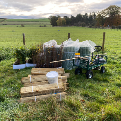 The Mór Partner Blog Practicing What We Preach Tree Planting Utensils and Trees