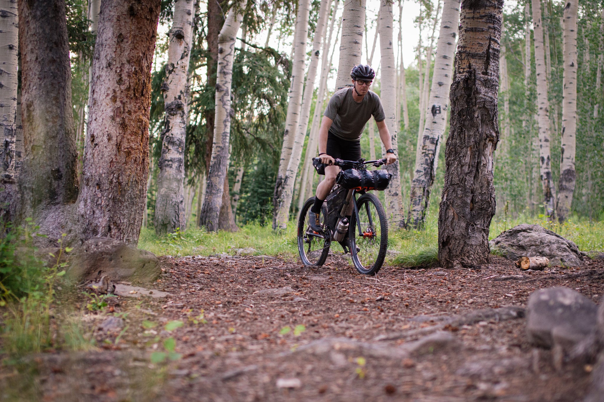 Person riding a bike through the trees in a forest. 