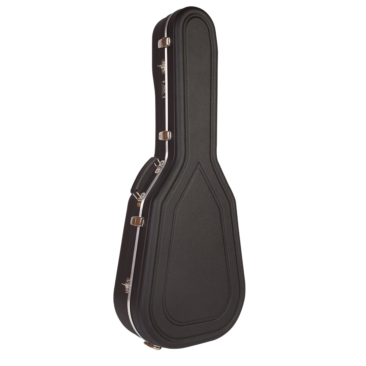 large guitar case