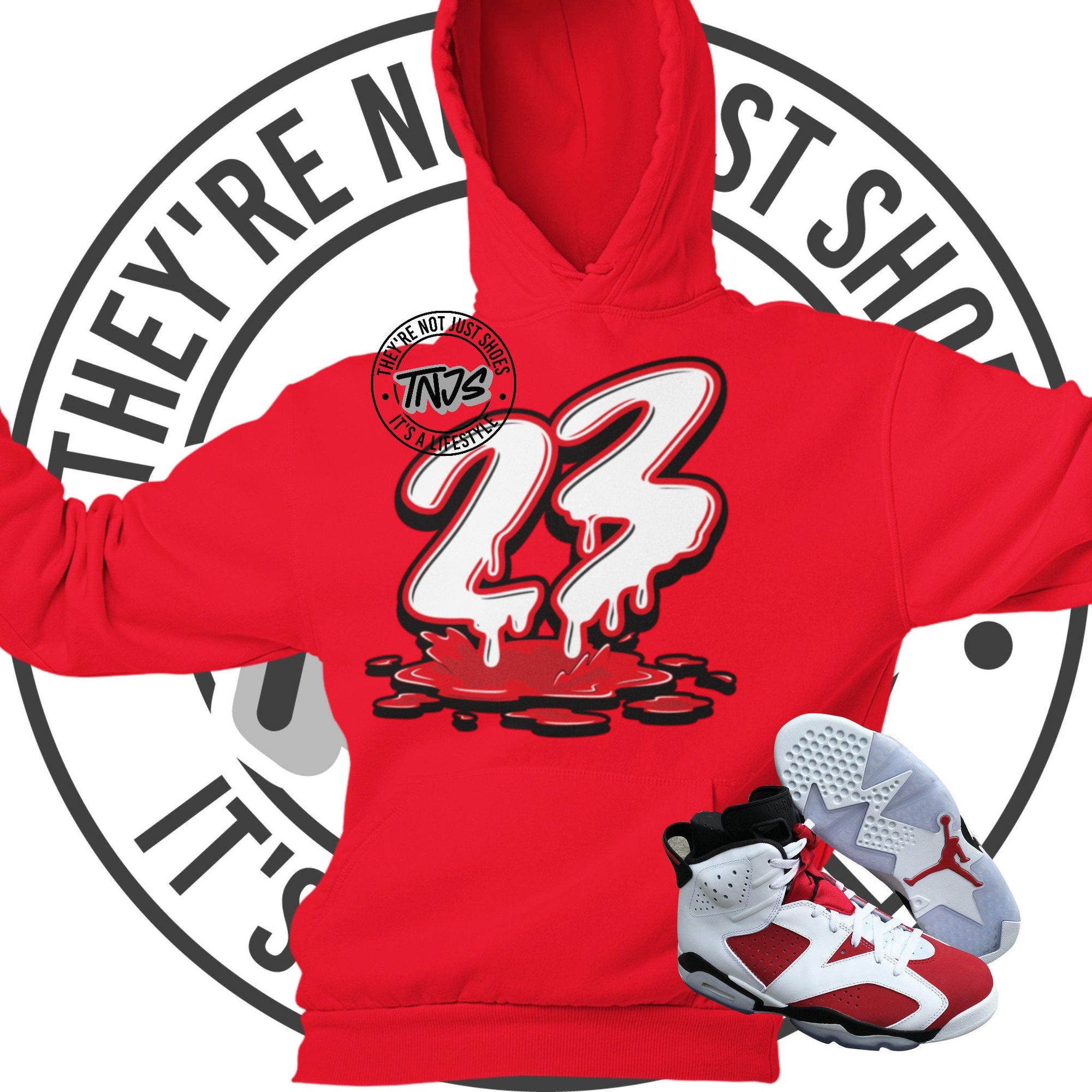 jordan retro 6 pullover hoodie