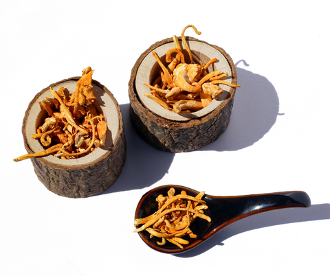 benefits of Cordyceps fungi