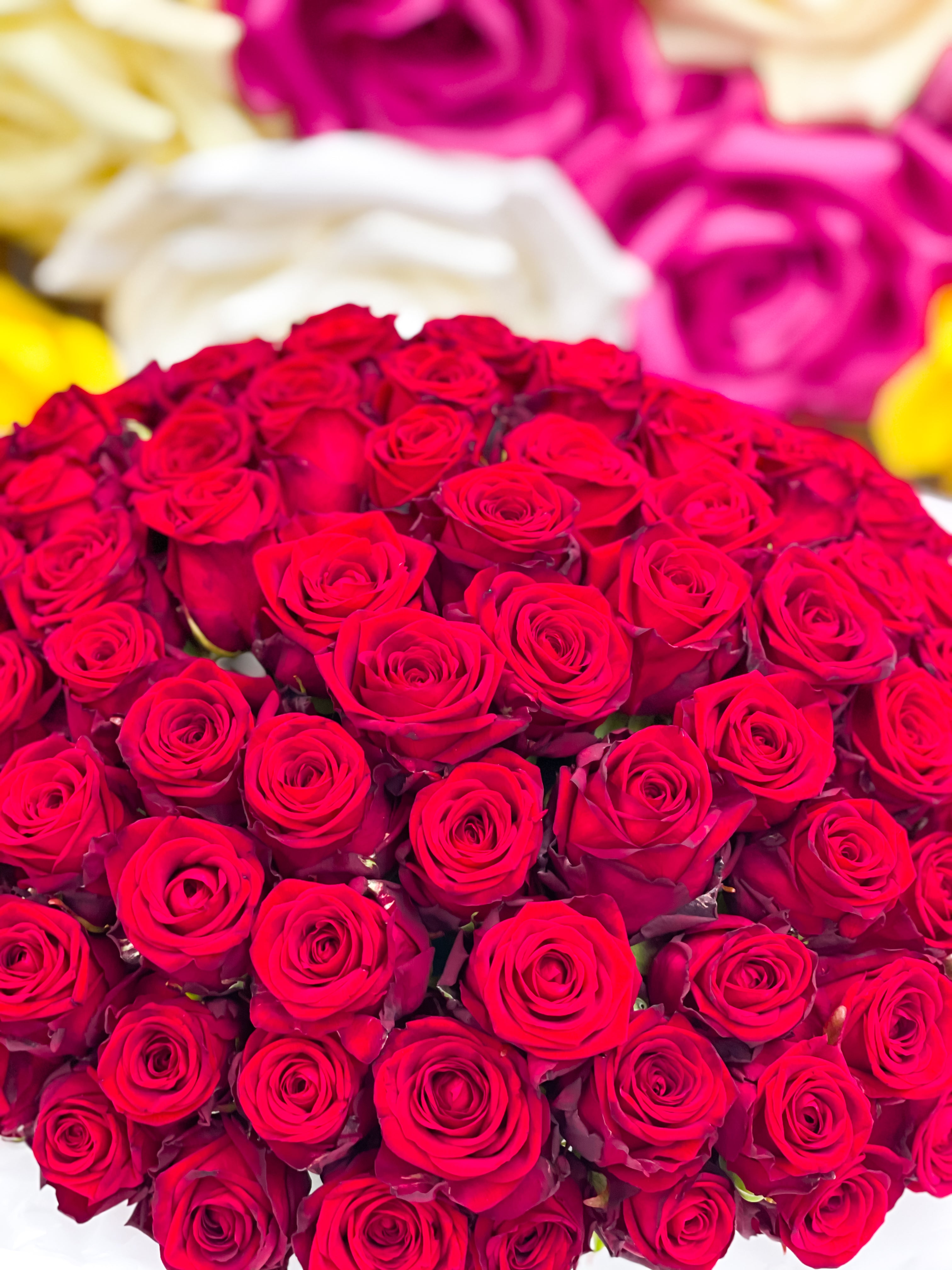 Bouquet 100 Roses frâiches | AvenueFitzgerald