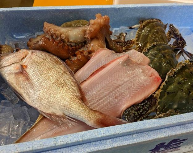 刺身 通販 産直 瀬戸内 【 朝獲れ当日出荷 】 旬の鮮魚 × 日本酒 ギフト 純米大吟醸 無濾過生原酒 お刺身 お取り寄せ 鮮魚 真鯛 イカ たこ 