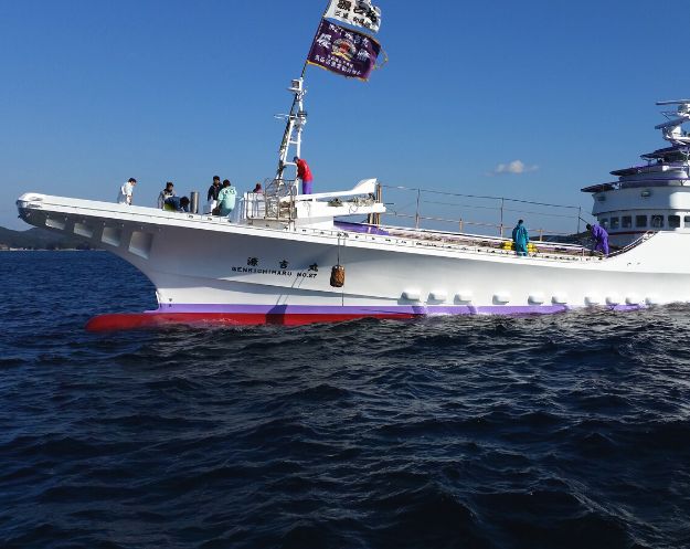 朝獲れ当日出荷 カツオの刺身 日本酒 戻り鰹 刺身 とろカツオ 気仙沼 伊勢 カツオ カツオのたたき 鮮魚 通販 冷蔵 焼津 初カツオ