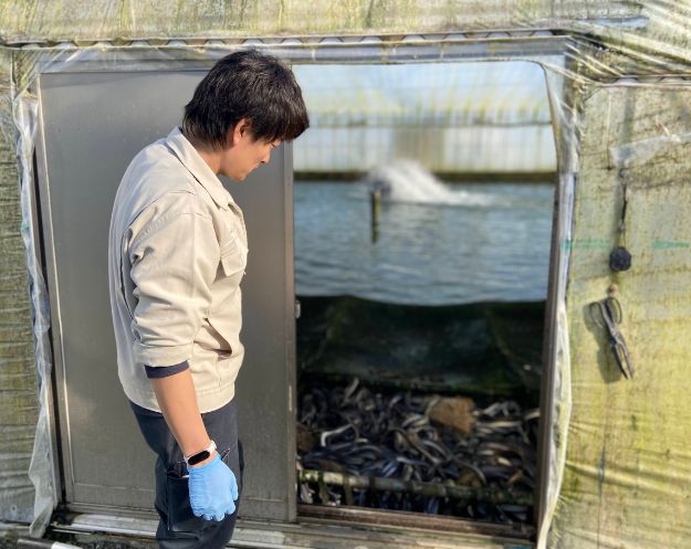 浜松 うなぎ 国産 土用の丑の日 通販 真空パック 人気 有名 おすすめ 美味しい ランキング 高級 ギフト 父の日 年末 鰻 日本酒 セット おつまみ 有名銘柄 高級 飲み方 純米大吟醸 辛口 無濾過生原酒 日本酒ギフト 飲み比べ  刺身  お刺身 お取り寄せ 鮮魚 海老仙 うなぎクラブ